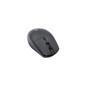 Frisby FM-284WM Kablosuz Mouse Siyah