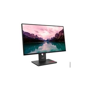 Lenovo T24-40 23.8
