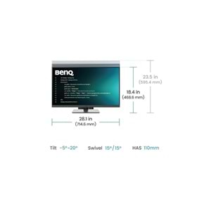 BenQ RD320U 31.5
