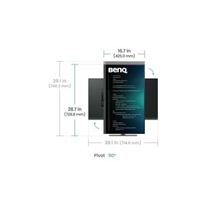 BenQ RD320U 31.5