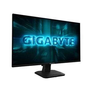 Gigabyte 24.5