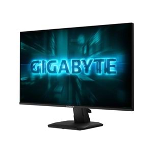 Gigabyte 24.5