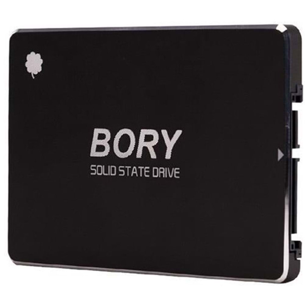 Bory 550/510 SATA3 SSD (R500-C1T 1TB)