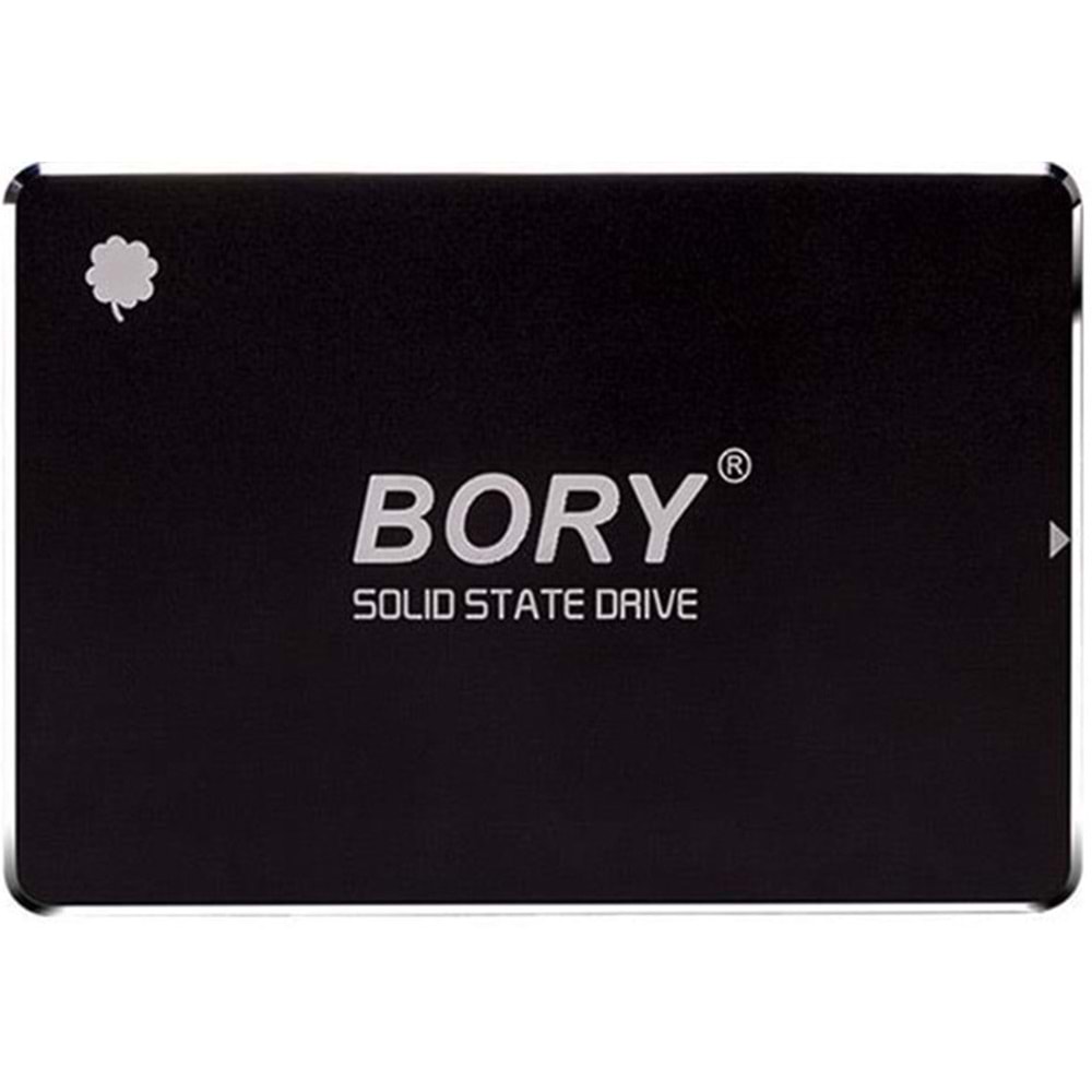 Bory 550/510 SATA3 SSD (R500-C1T 1TB)