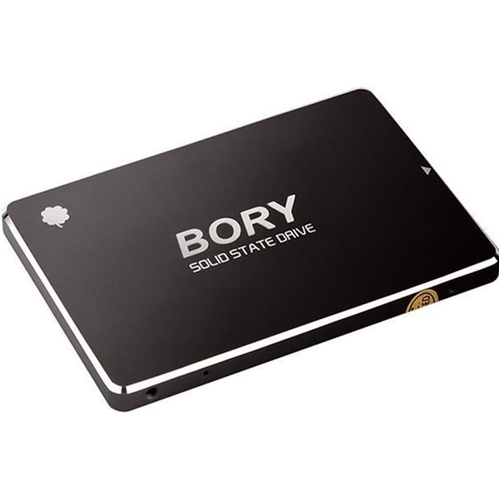 Bory 550/510 SATA3 SSD (R500-C1T 1TB)