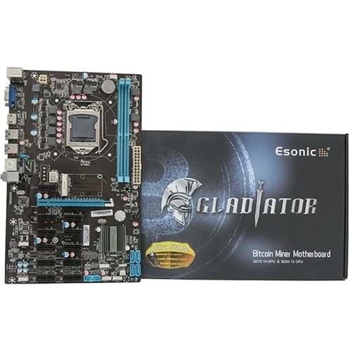 Esonic B250-BTC 2400MHZ DDR4 VGA 12X PCI-E 1151P (Bulk)