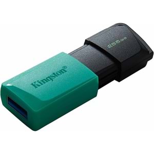 Kingston Exodia 256 GB USB Flash Bellek DTXM/256GB