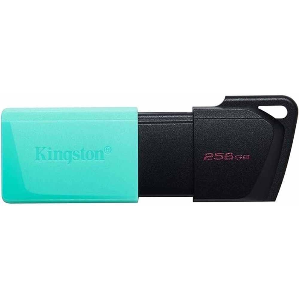 Kingston Exodia 256 GB USB Flash Bellek DTXM/256GB
