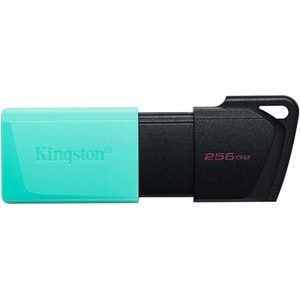Kingston Exodia 256 GB USB Flash Bellek DTXM/256GB