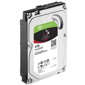 Seagate Nas 4Tb Ironwolf Pro Usb 3.2 Dahili Sabit Disk ST4000NT001