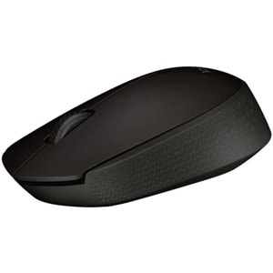 Logitech B170 Nano Mouse Kablosuz Siyah 910-004798