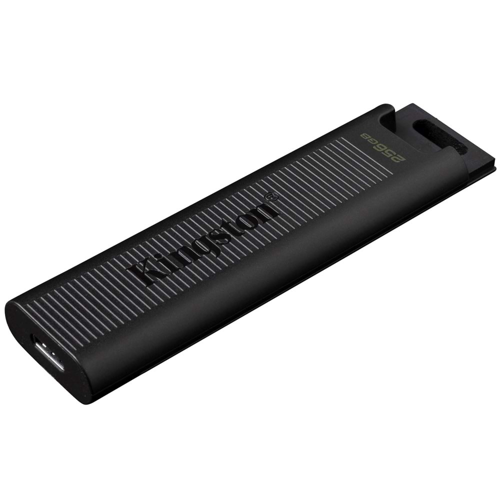Kingston 256G DTMax Usb3.2 Gen2 Type-C DTMAX/256GB