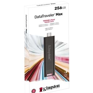 Kingston 256G DTMax Usb3.2 Gen2 Type-C DTMAX/256GB