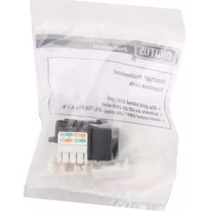 Digitus CAT6 Keystone Jack Zırhsız (Siyah Beyaz)