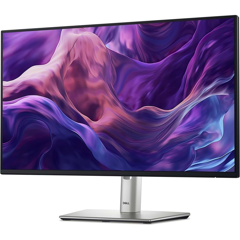 Dell 24