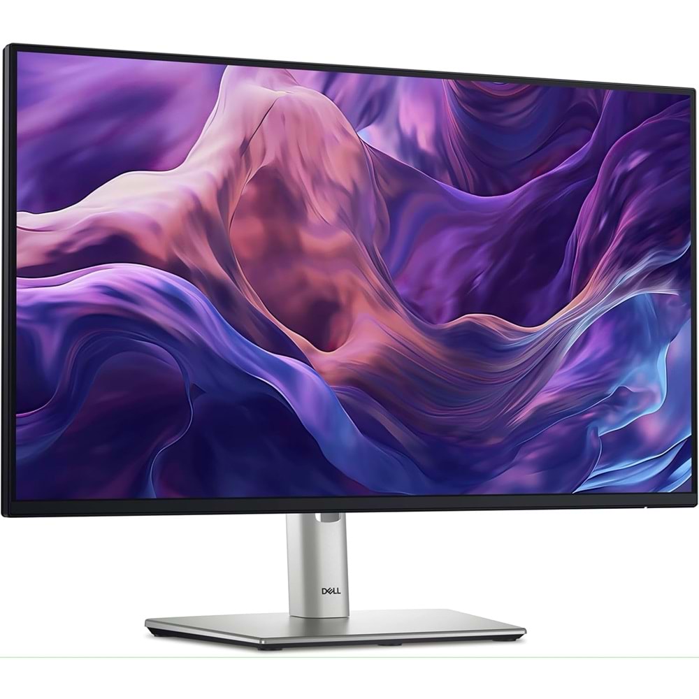 Dell 24