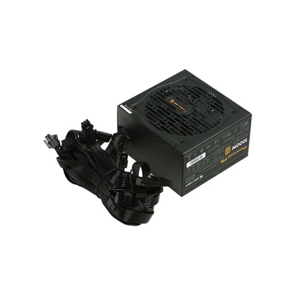 High Power 1000W 80+ Gold PCIE5.1 (Performance)