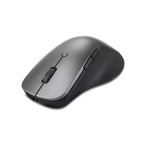 Lenovo PROFESSIONAL Kablosuz Mouse 4Y51J62544