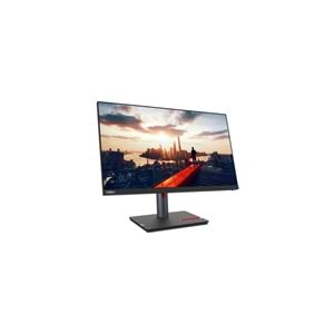 Lenovo P24h-30 23.8