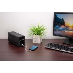 APC Easy Güç Kaynağı UPS BVX 700VA 230V AVR USB Charging Schuko Sockets BVX700LUI-GR