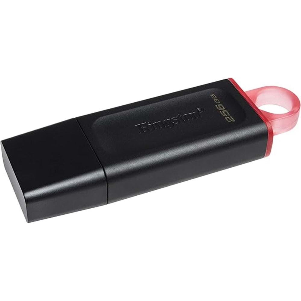 Kingston Exodia 256GB DataTraveler USB3.2 DTX/256GB