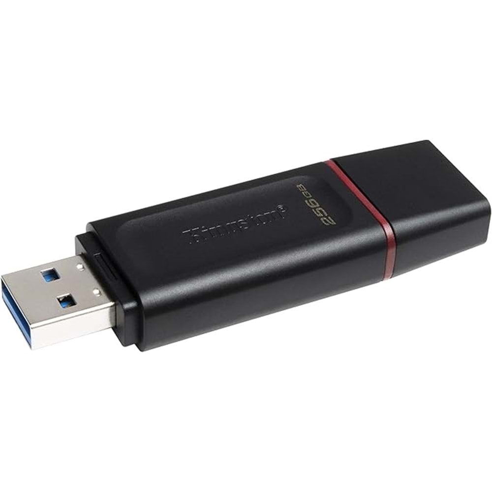 Kingston Exodia 256GB DataTraveler USB3.2 DTX/256GB